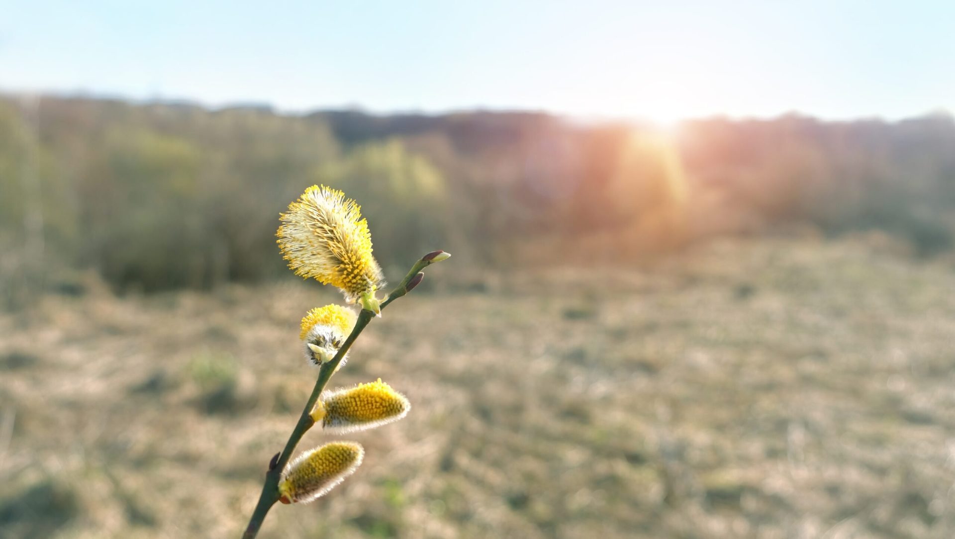 Vremea se răcește drastic: temperaturi de minus 7 grade Celsius anunțate pentru perioada următoare Românii se pregătesc pentru o schimbare radicală a vremii