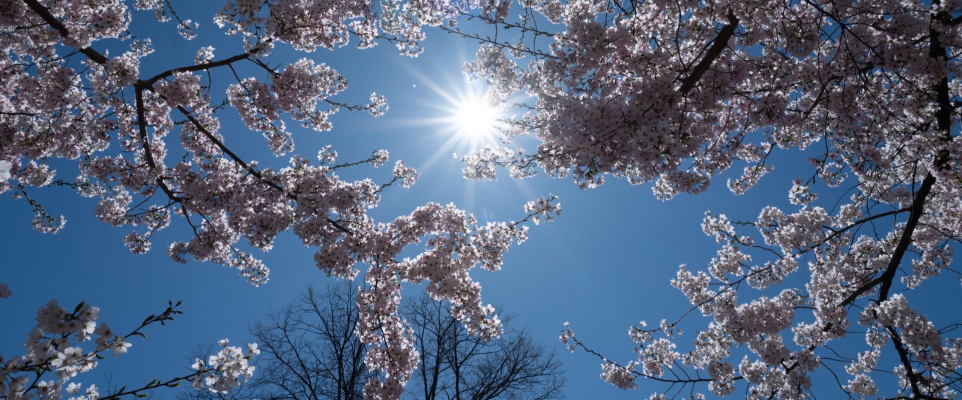 Vremea de 1 Mai: Meteorologii anunță ce ne așteaptă în România