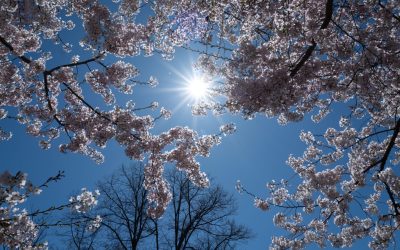 Vremea de 1 Mai: Meteorologii anunță ce ne așteaptă în România