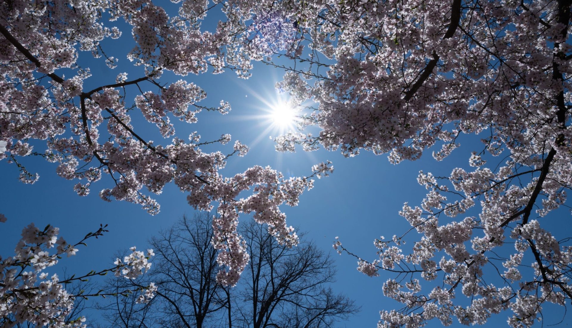 Prognoza ANM: Căldură și ploi prin țară. Vezi unde lovește furtuna