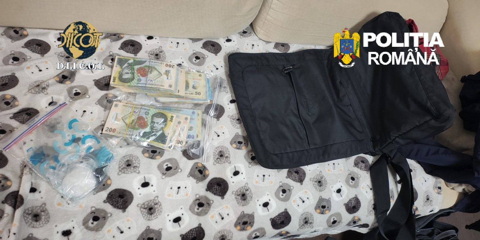 Canabis cultivat în laboratoare din București și 4 județe: Intervin mascații