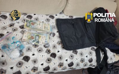 Canabis cultivat în laboratoare din București și 4 județe: Intervin mascații