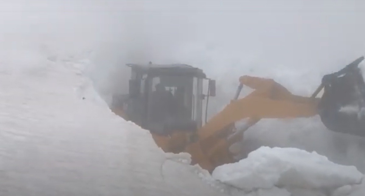 Circulația interzisă: Atenție! Nu intrați până nu e sigur pe stradă