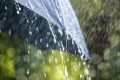 Ploi torențiale și vijelii: 17 județe sub cod portocaliu. Cum e în București