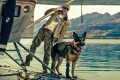 „Heart of the Beast”: Thrillerul de supraviețuire al anului 2026 promite intensitate maximă