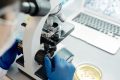 UE ACCELEREAZĂ INOVĂRILE BIOTEHNOLOGICE CU NOI REGULI