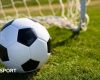 Liverpool vs Sunderland: Club Friendlies stats & head-to-head