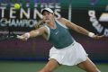 Jucătorul de tenis, absent de la următorul turneu