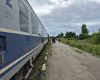 Șinăruptă Eforie: Circulație oprită spre București și litoral, întârzieri majore