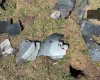 Moldova în Alertă: Dronă Prăbușită și Incendiu în Țara Vecină
