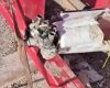 Dronă, noi resturi, COSTINEȘTI: Descoperire pe plajă