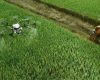 Agricultura pe românește: Stop loteriei!