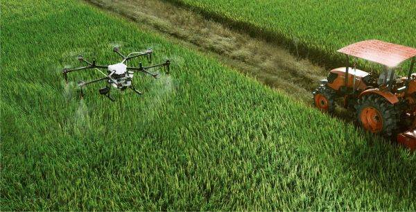 Agricultura pe românește: Stop loteriei!