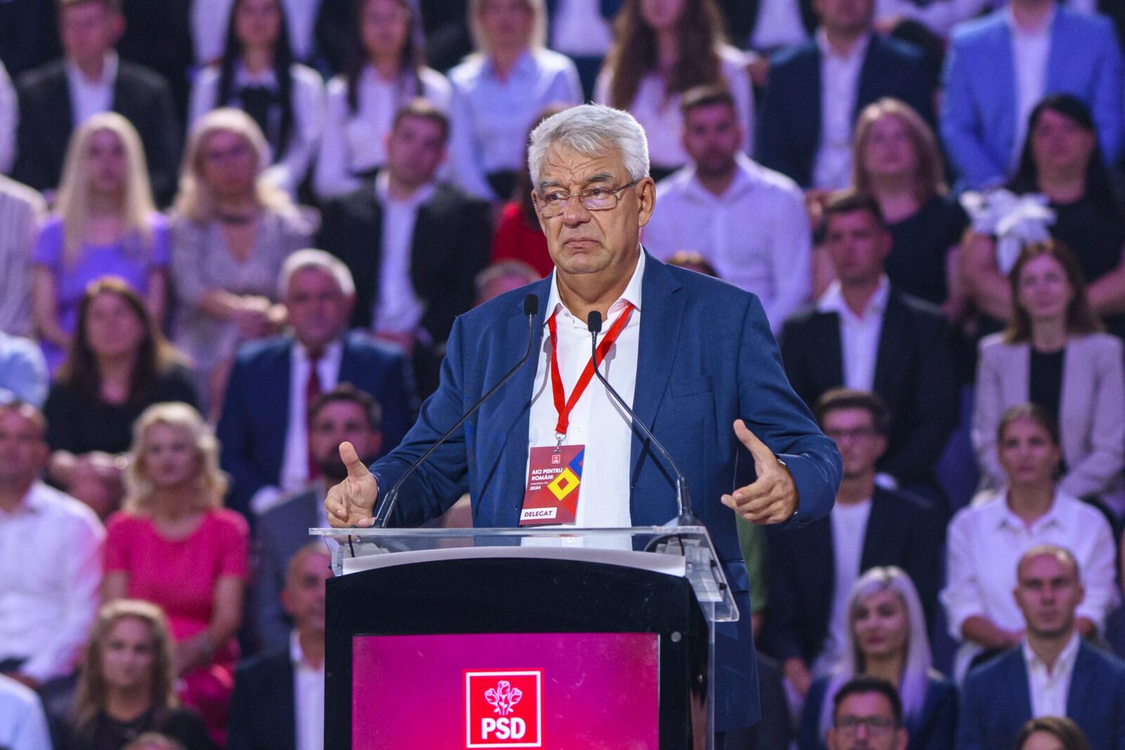 Guvern: Interimat ministru, termen limită 45 zile