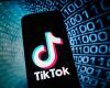 TikTok, capcană pentru tinerii investitori. Experții trag semnalul de alarmă