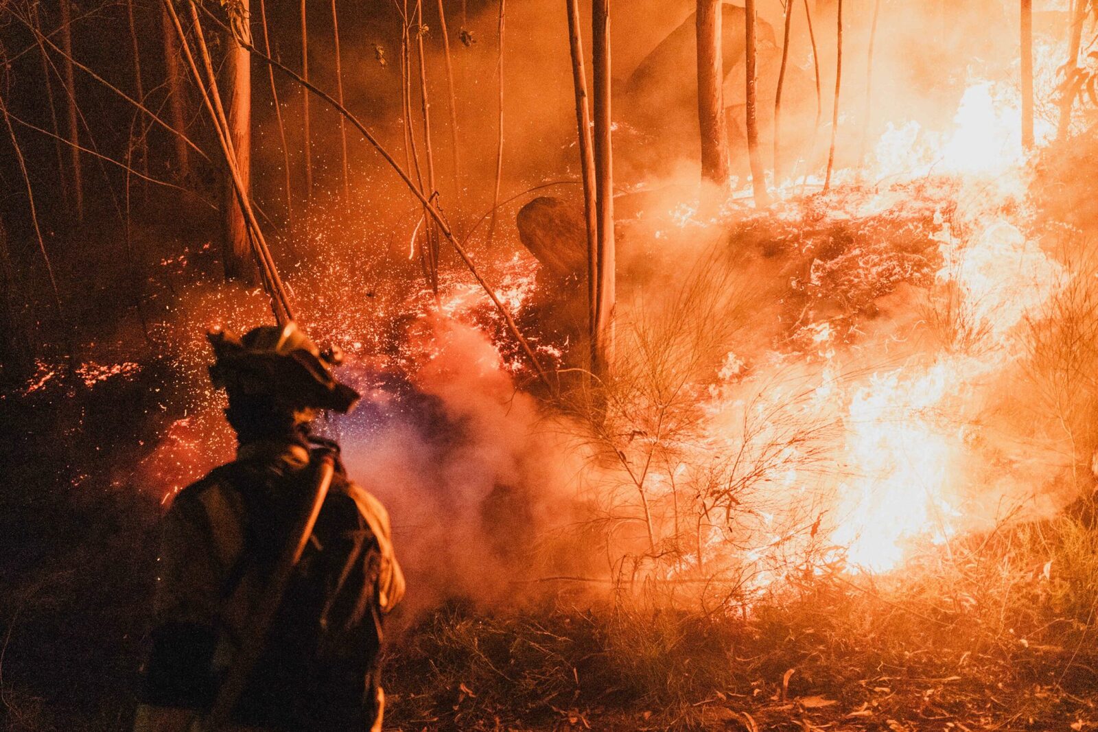 Valencia, sub asediu: Cod Roșu de incendii devastatoare