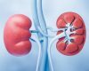 Urina ta trădează rinichii: Ce spun medicii