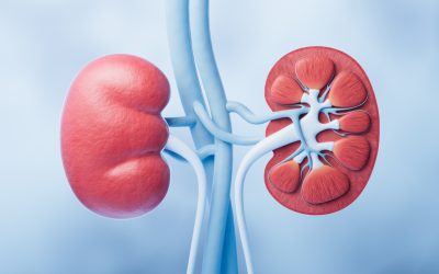 Urina ta trădează rinichii: Ce spun medicii