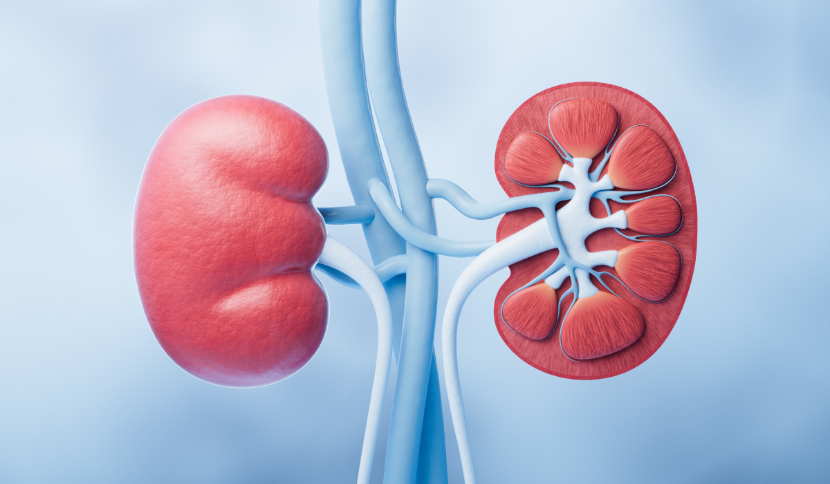 Urina ta trădează rinichii: Ce spun medicii