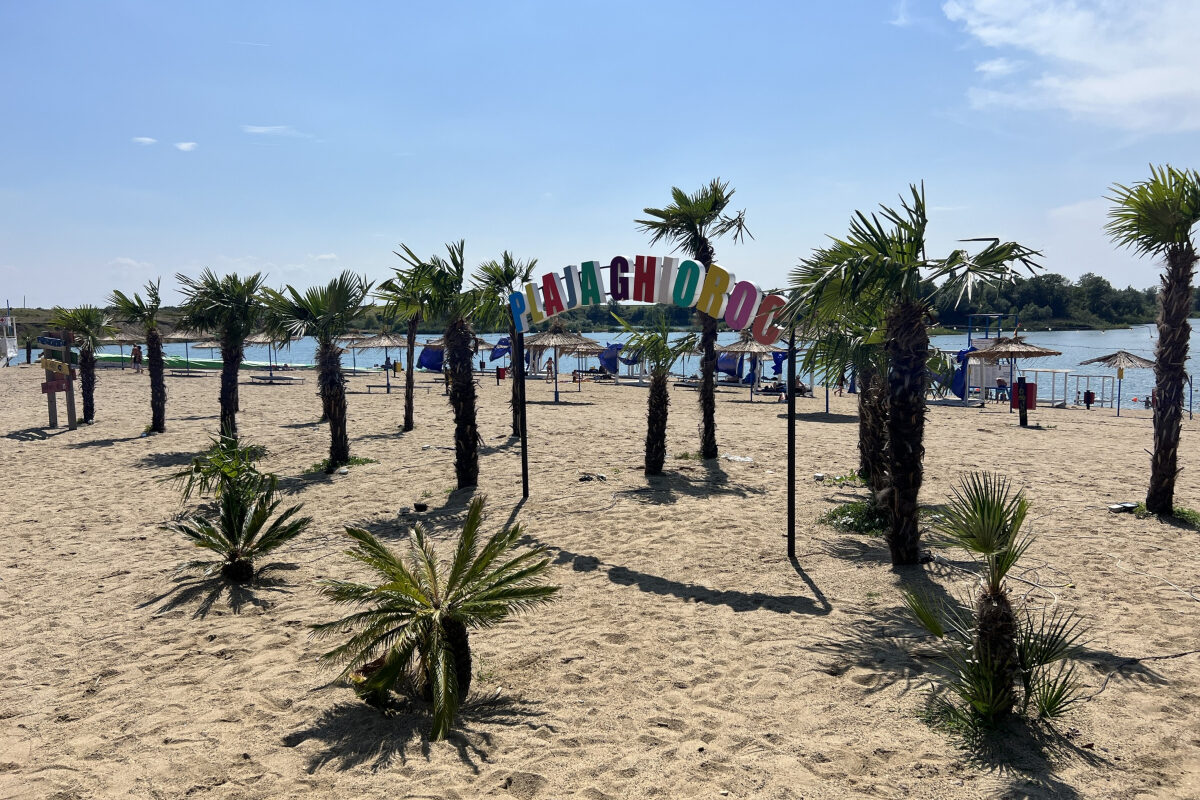 Plaja cu palmieri din România, ca în Spania. Turism exotic lângă mare