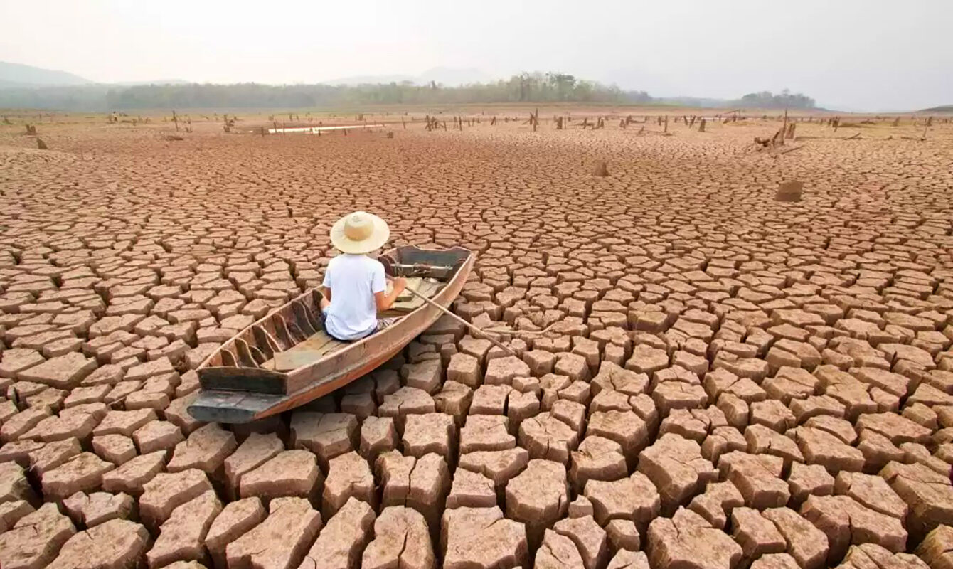 Tropicele, altfel: 3,3 milioane de ani de evoluție, în doar câteva decenii