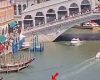 Delfin în Canal Grande: Primarul Veneției cere ajutor