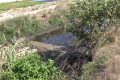 Târgu Jiu: Ape uzate în râu, stație de epurare e un dezastru ecologic