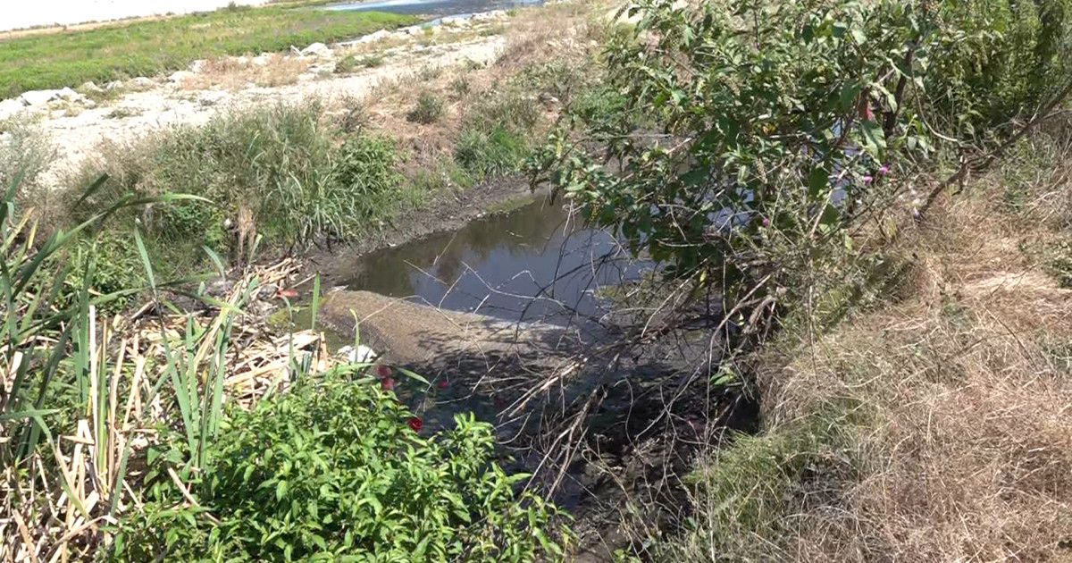 Târgu Jiu: Ape uzate în râu, stație de epurare e un dezastru ecologic