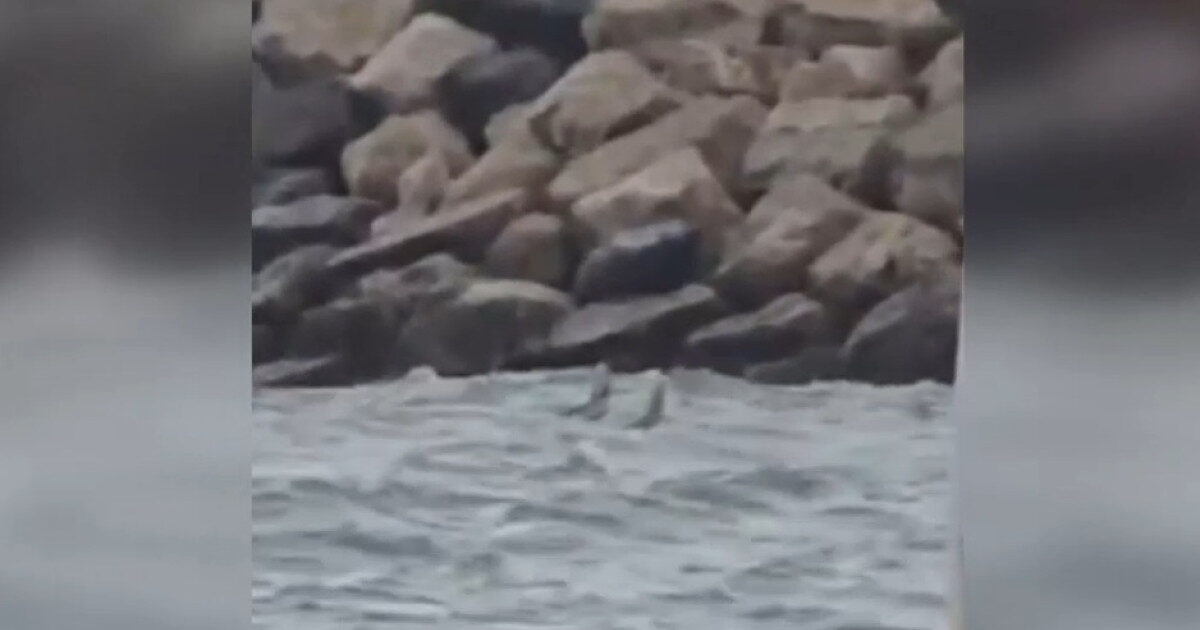 Obiect suspect în Marea Neagră, la Costinești