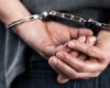 Mureșean reținut de Poliția Animalelor pentru uciderea unei pisici
