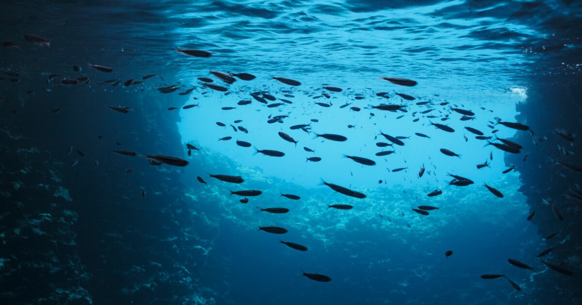Iulie a ars oceanele: Record de temperatură la nivel mondial