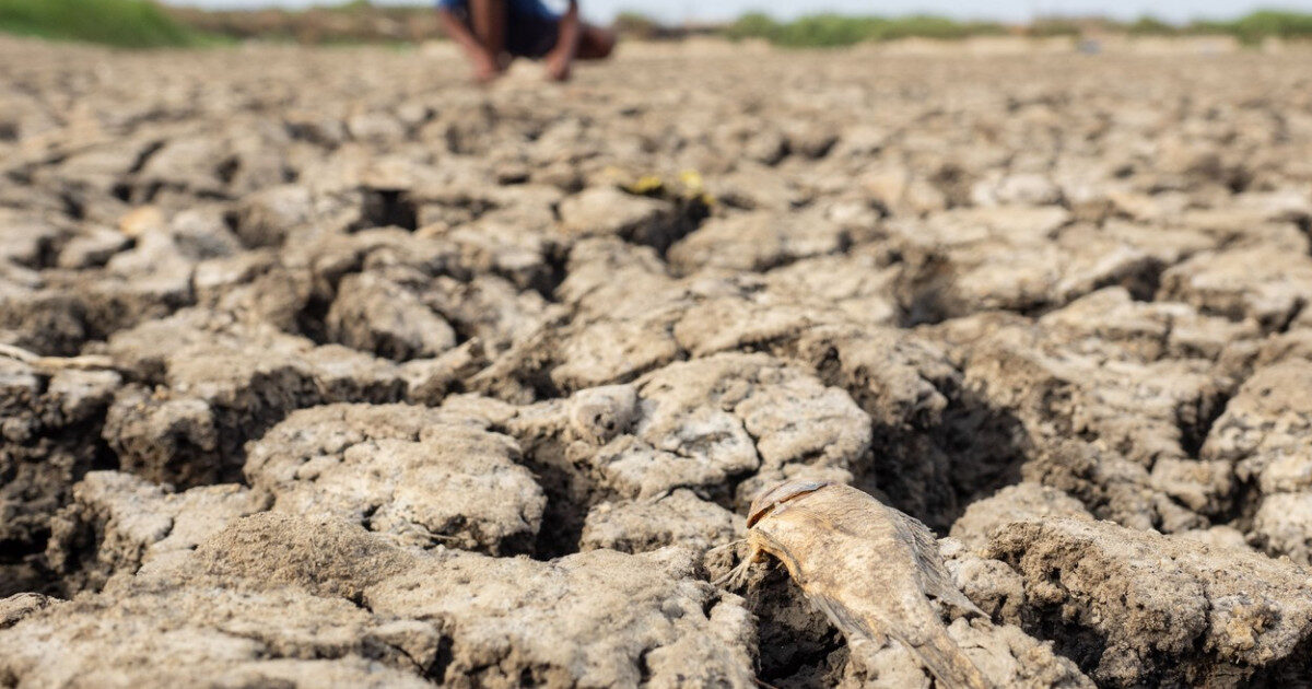 El Nino, pericol uriaș pentru hrana lumii. 274 mil. Oameni, sub risc