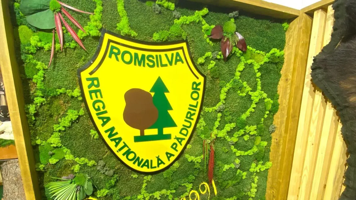 Împăduriri Dolj: 5,5 mil lei pentru Ocolul Dăbuleni