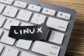 Linux, 35 de ani: De la student la regele neîncoronat