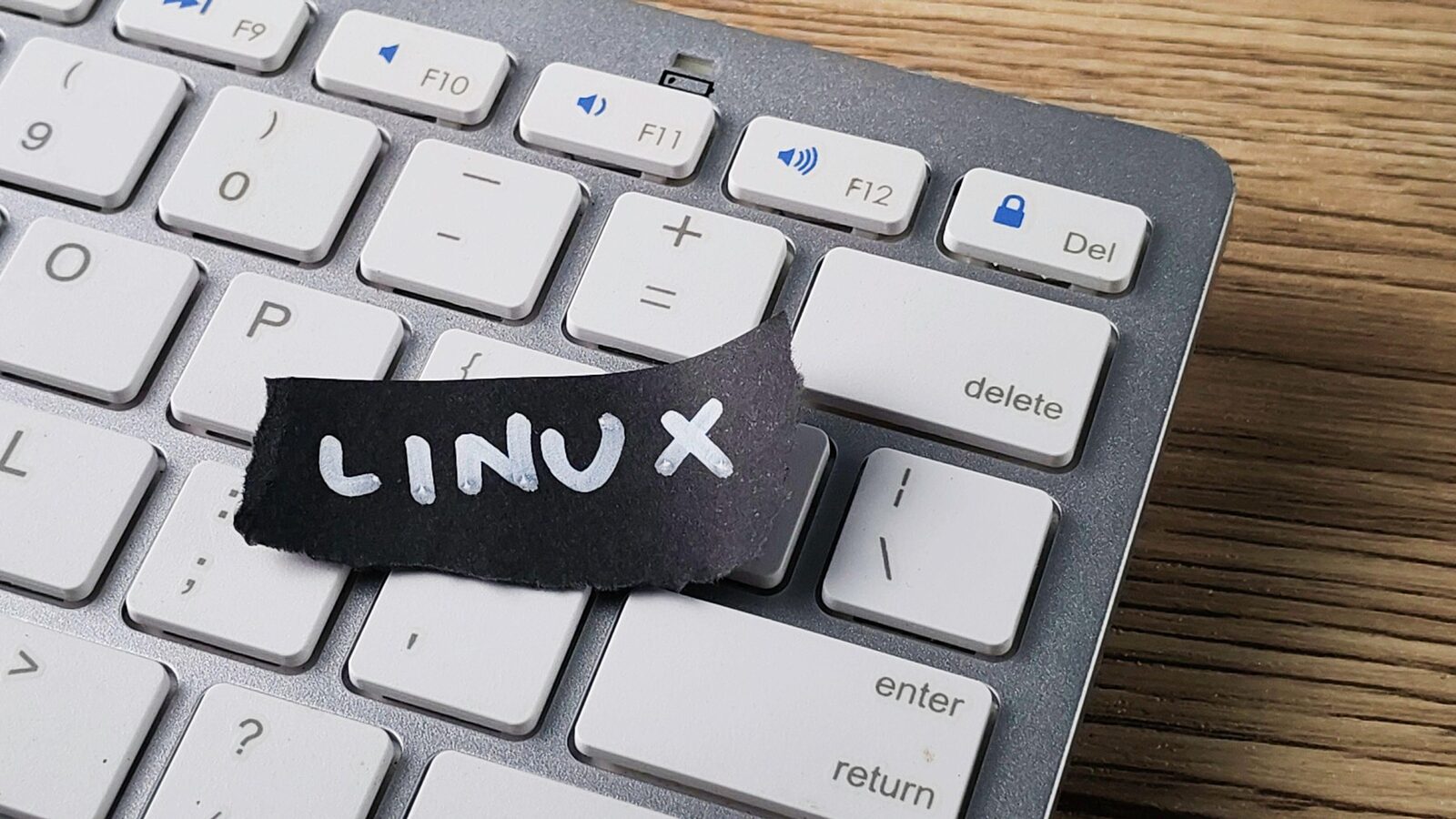 Linux, 35 de ani: De la student la regele neîncoronat