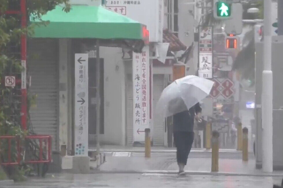 Typhoon Dolphin hits parts of southern Japan