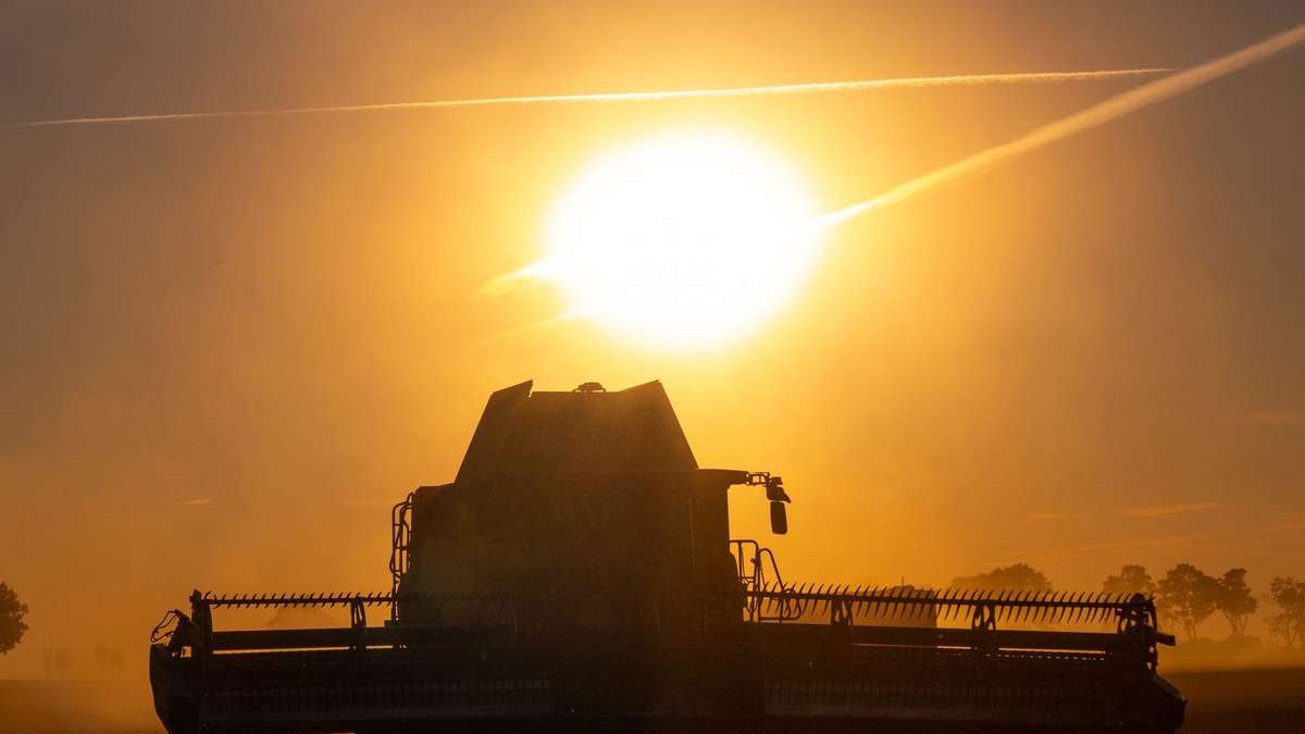 Sommer bleibt – Trockenheit hält an