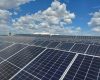Allview: Fotovoltaicele nu sting criza energetică