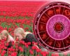 HOROSCOP 9 august 2026: Știeți când să vă opriți. Întrebați!