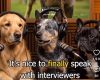 Warner Bros. Lansează podcast cu câini AI pentru film
