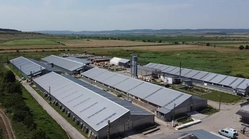 Roca Industry: Plata pentru Workshop Doors blocată după un audit
