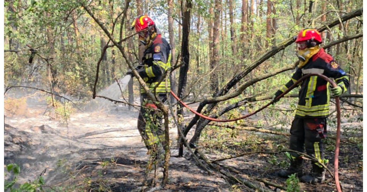 Pompieri Români Luptă cu Focul în Serbia: 34 Hectare Devastate
