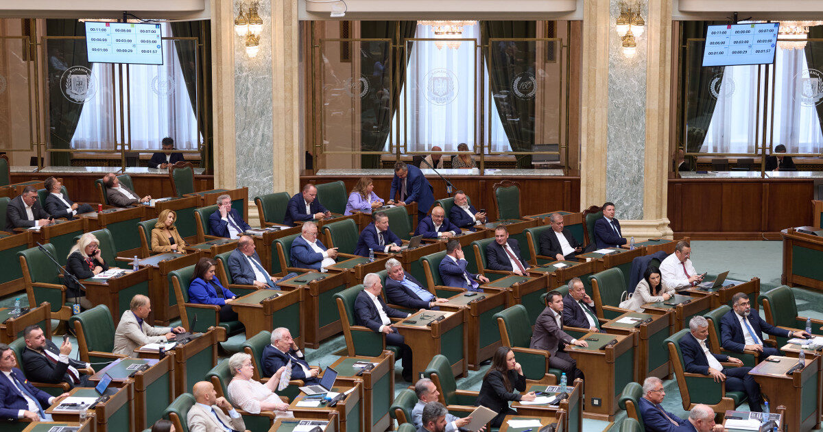 Senatul dă verde la împrumutul BIRD pentru deficit