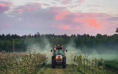 Moldova, Riscul Pesticidelor UE: Exporturile în Pericol