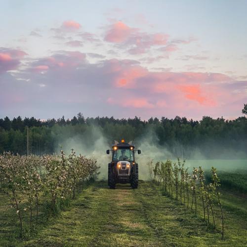 Moldova, Riscul Pesticidelor UE: Exporturile în Pericol