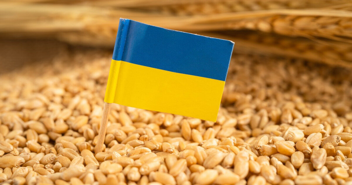 Ucraina cere UE 220 mil. Euro pentru fermierii loviți de război