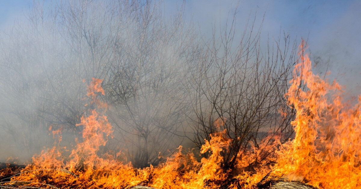 Caraș-Severin: Patru incendii majore, lupta cu flăcările continuă