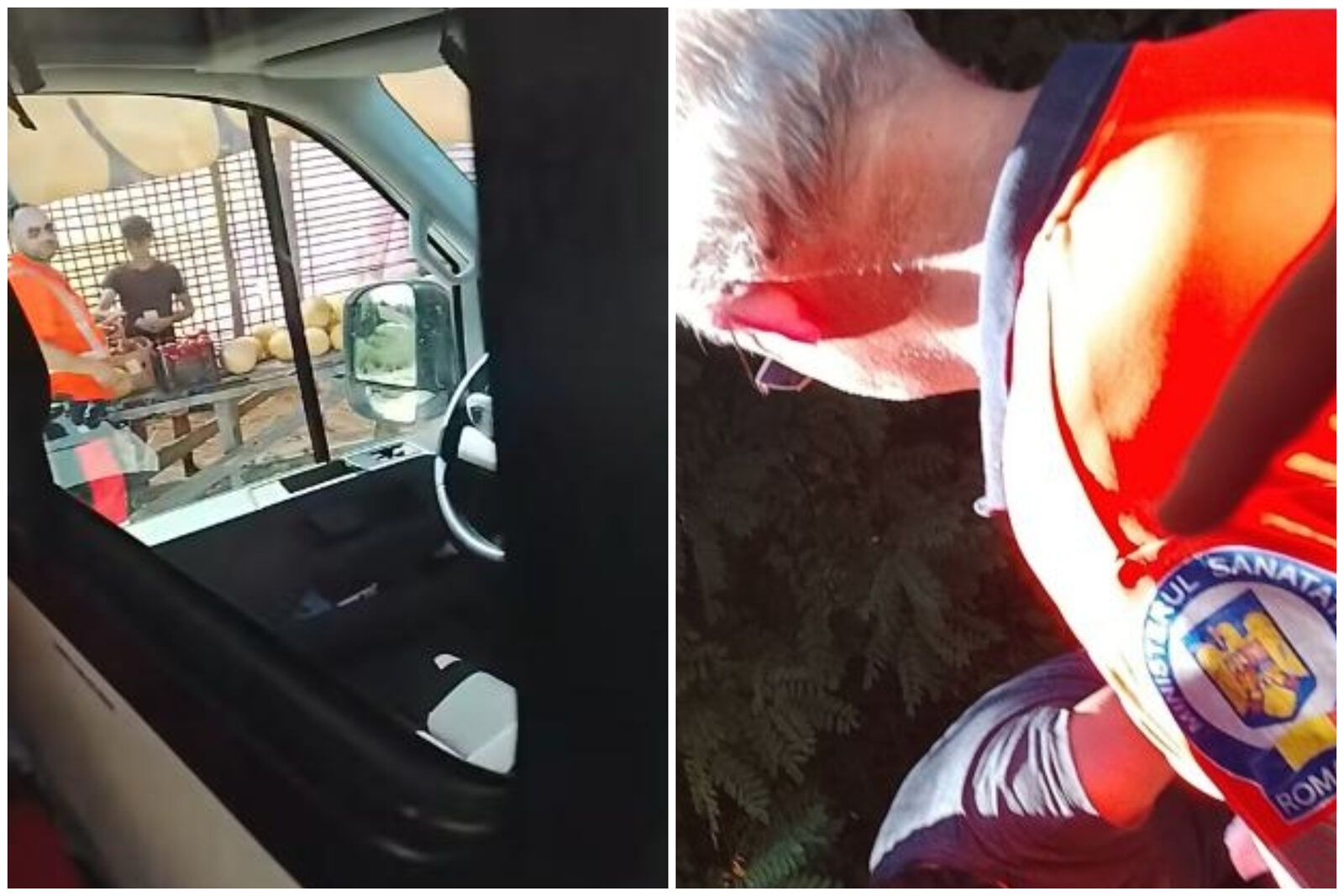 DSU anchetează salvarea fetiței duse la pepeni