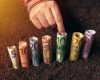 Fonduri UE: Fermele mici țintesc 50.000 EUR. Regulile încep în 2026