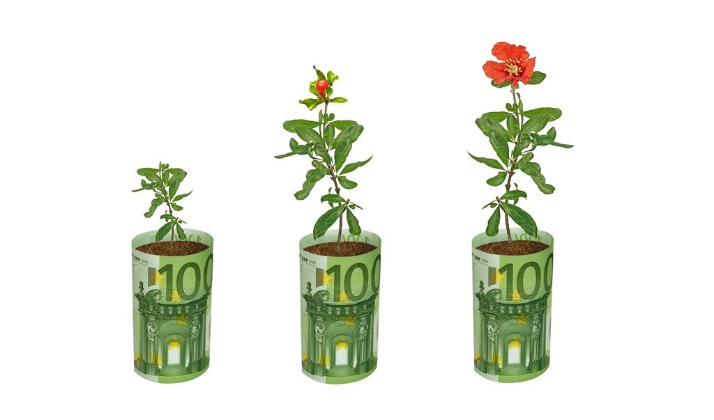 Fermieri și grădinari, 100.000 EUR de la UE! Ghid AFIR DR-18